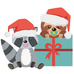 Raccoon GiftBox