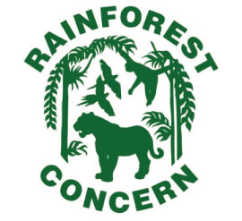 CSP Rainforest